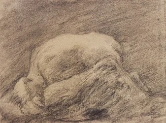 A Study of Rodin